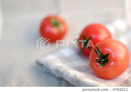 Tomato   4768021