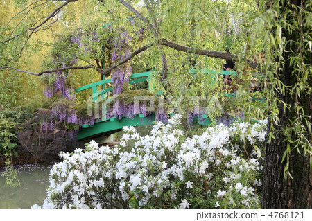 Monet's garden 4768121