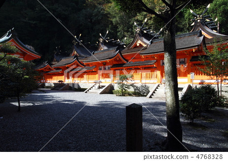 Kumano Nachi Taisha Shrine main hall 4768328