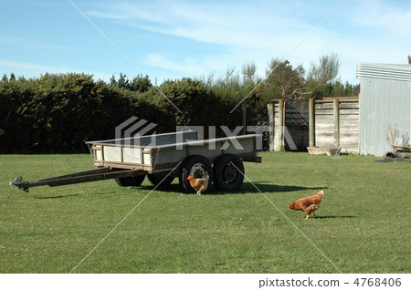 farm 4768406