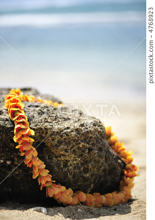 夏威夷雷伊花 4768923