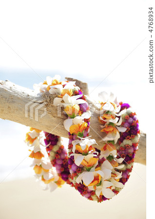 夏威夷雷伊花 夏威夷雷伊花 4768934