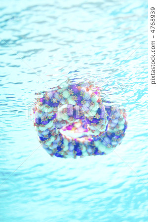 夏威夷雷伊水下照片 4768939