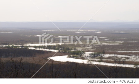 Kushiro marsh of evening scenery 4769123