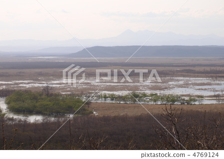 Kushiro marsh of evening scenery 4769124
