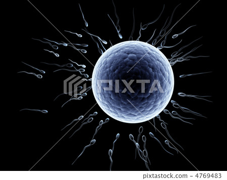 Spermatozoons, floating to ovule Spermatozoons, floating to ovule 4769483