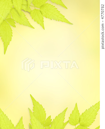 Spring leaves Spring leaves 4770782