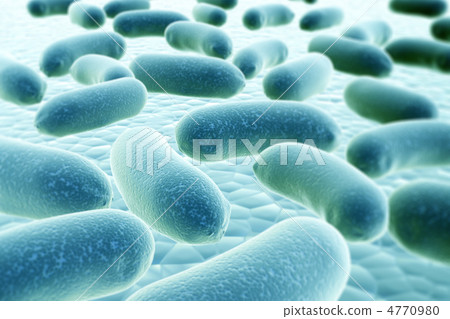 Bacteria 4770980