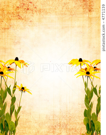 Flowers Flowers 4771139