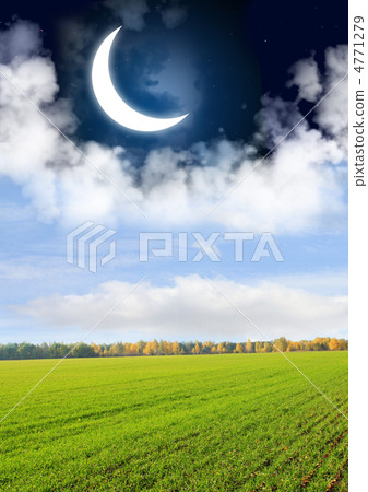 Day and night Day and night 4771279