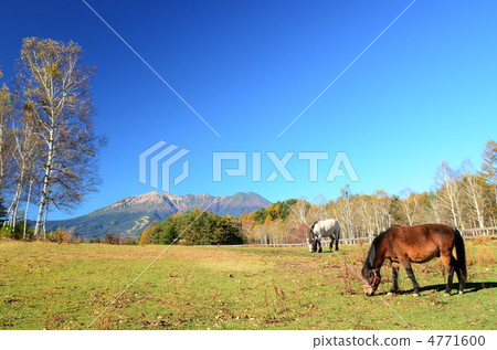 Kiso-ko Koda Kogen Kiso Ma's Village的Otakiyama山 4771600