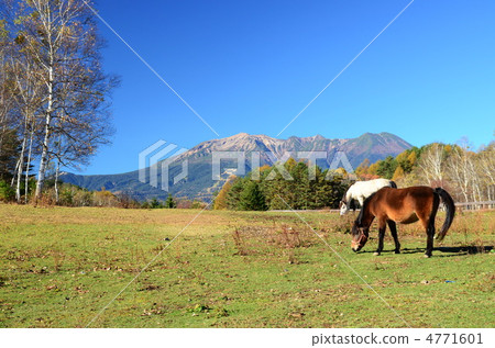 Kiso-ko Koda Kogen Kiso Ma's Village的Otakiyama山 Kiso-ko Koda Kogen Kiso Ma's Village的Otakiyama山 4771601