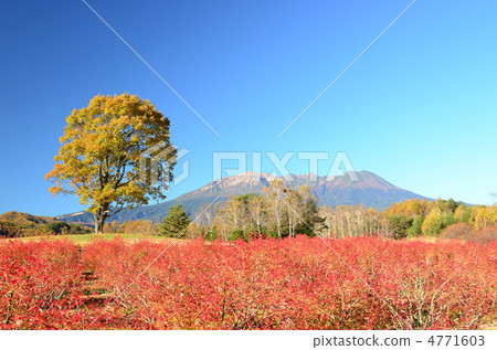 Kiso-ko Koda Kogen Kiso Ma's Village的Otakiyama山 4771603