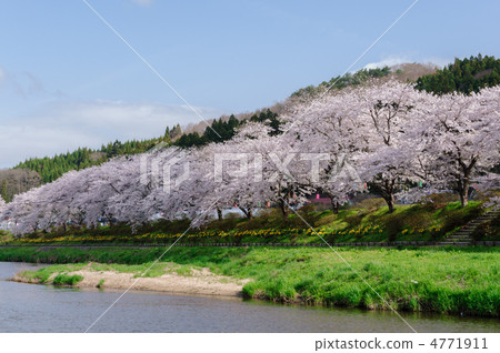 Natsui Senbonzakura 4771911