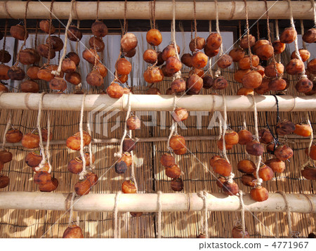 Dried persimmon 4771967