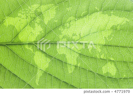 World map and leaf 4771970