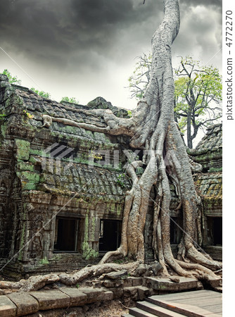 temple of Ta Prohm in Angkor Wat 4772270