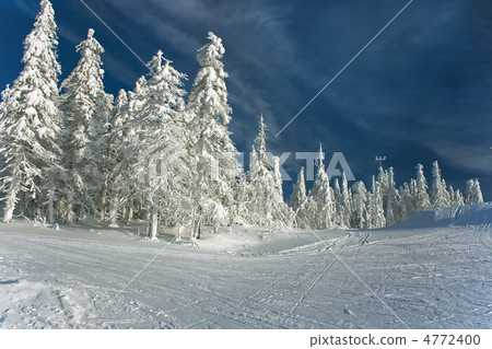 winter landscape winter landscape 4772400