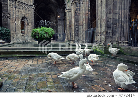 Cathedral in Barcelona Cathedral in Barcelona 4772414