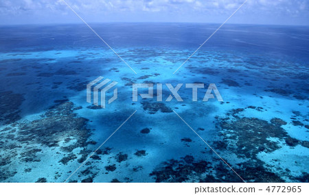 Great Barrier Reef Great Barrier Reef 4772965