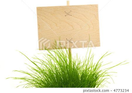 Empty wooden Sign with green Grass / isolated on white 4773234