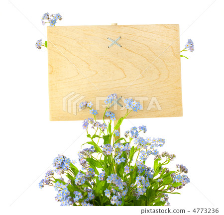 Wood Sign with Flowers / empty board for your text /  isolated o 4773236