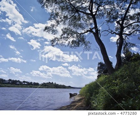 宮澤賢治的英國海岸 4773280