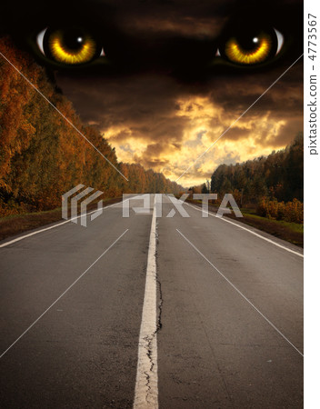 Horror in night Horror in night 4773567