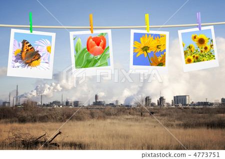 Ecology concept Ecology concept 4773751
