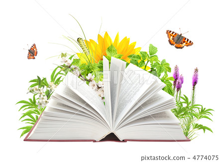 Book of nature 4774075
