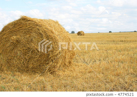 Haystacks Haystacks 4774521