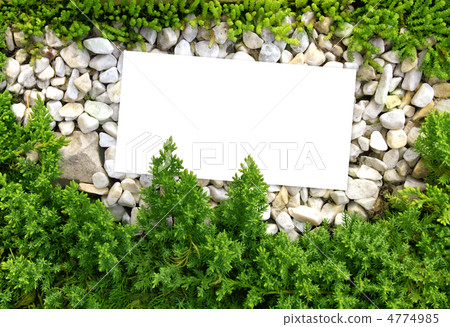 Nature background Nature background 4774985