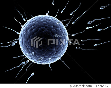 Spermatozoons, floating to ovule 4776467