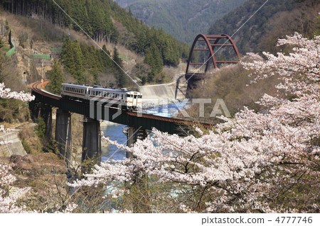 Hida River iron bridge and cherry blossoms 4777746