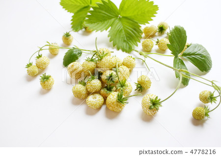 白色的草莓 白色的草莓 4778216