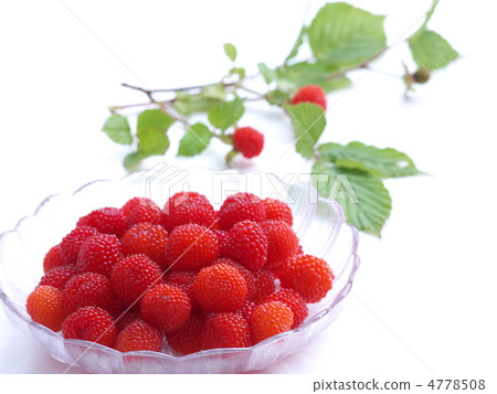 野草莓 野草莓 4778508