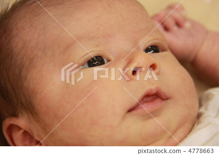 Newborn Newborn 4778663