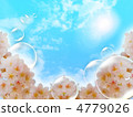 Cherry blossoms in bloom and soap bubbles 4779026
