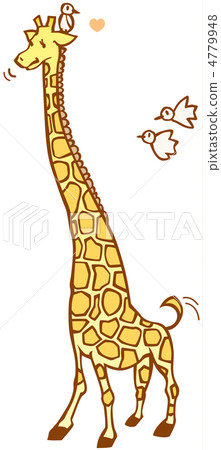 Giraffe Giraffe 4779948