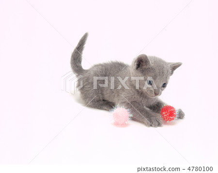 小貓玩玩具 小貓玩玩具 4780100
