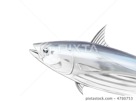 博尼塔的插圖 4780753