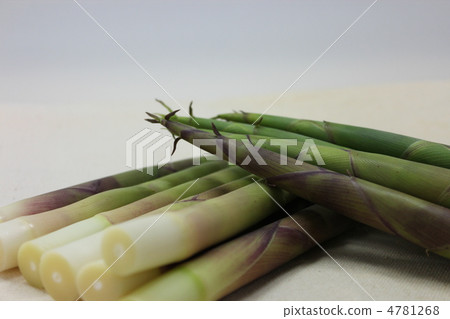 bambooshoot bambooshoot 4781268