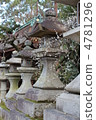 lantern 4781296