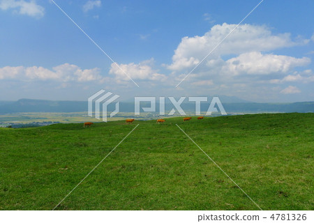 Aso grassland 4781326