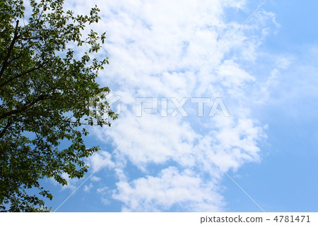 天空和雲彩 4781471