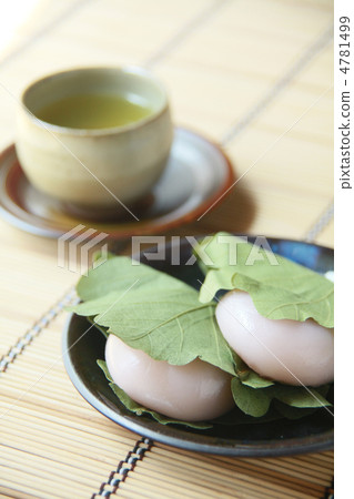 Kashiwamochi 4781499