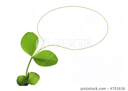 Plant's title board 4781636