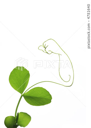 工廠的辛勤工作姿勢 4781640