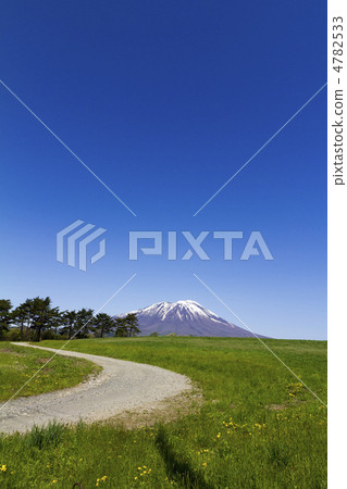 Road to Iwateyama (Vertical) 4782533
