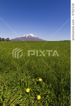 蒲公英和岩山（垂直） 4782538